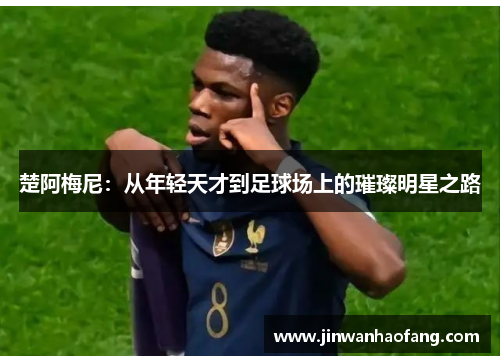 楚阿梅尼：从年轻天才到足球场上的璀璨明星之路